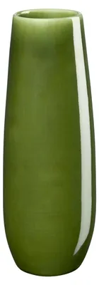 Produktbild von ASA ease Blumenvase in Grün, mit 25 cm Höhe und 6 cm Durchmesser