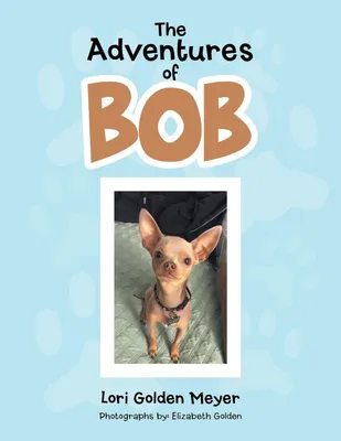 Produktbild von The Adventures of Bob