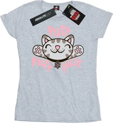 Produktbild von Big Bang Theory - "Soft Kitty Purr" T-Shirt für Damen BI9477 (XL) (Grau)
