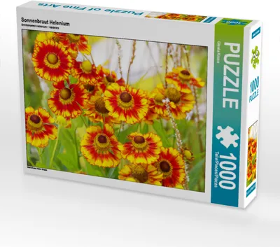Produktbild von CALVENDO Puzzle Sonnenbraut Helenium | 1000 Teile Lege-Größe 64x48cm Foto-Puzzle für glückliche Stunden