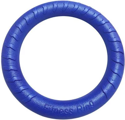 Produktbild von Hundespielzeug, leichtes schwimmendes Kauspielzeug für Haustiere, bissfest, interaktiver Hundetrainingsring für Outdoor-Aktivitäten