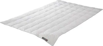 Produktbild von Badenia Trendline Daunendecke Princess Leicht Größe 135x200 cm Sommerdecke