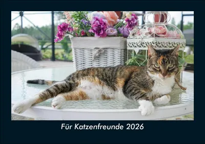Produktbild von Für Katzenfreunde 2026 Fotokalender DIN A5