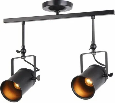 Zdjęcie produktu dla Lampa wisząca Gemma czarna 2xE27x40W metal wym:42x55x12cm IP20 Reality