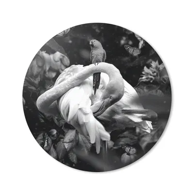 Produktbild von MuchoWow® Mauspad Mousepad Flamingo - Schmetterlinge - Dschungel - Schwarz - Weiß 50x50 cm - Mousepads - Maus Mat - Pad - Mausunterlage - Vinyl