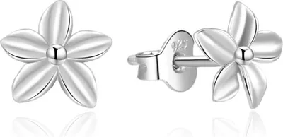Immagine prodotto di Orecchini in argento fine AGUP747L