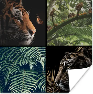 Produktbild von MuchoWow® Poster Tiger - Pflanzen - Baum - Schmetterling 75x75 cm - Wand Dekoration