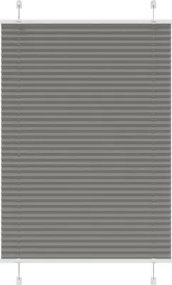 Image de Store plissé anthracite 100x150 cm largeur du tissu 99,4 cm