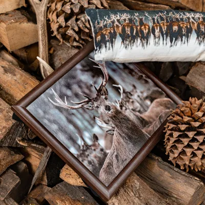 Produktbild von Landhaus Tablett, Knietablett, Kissentablett, Schoßtablett Hirsch winter