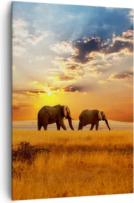 Produktbild von Bild auf Leinwand - Leinwandbild - Einteilig - Elefanten Safari Dschungel Busch - 70x100cm - Wand Bild - Wandbilder - Leinwanddruck - Wanddekoration - Leinwand bilder - Wandbild - PA70x100-3150