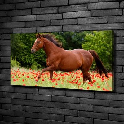 Produktbild von Tulup® Leinwandbild -100x50 cm - Wandkunst - Drucke auf Leinwand - Leinwanddruck  - Tiere - Rot - Pferd Mohnfeld