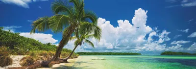 Image de Heye Puzzle Puzz.Paradise Palm 2000 Teile.