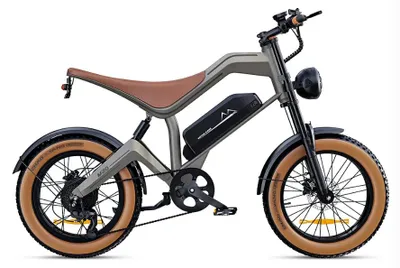 Productafbeelding van DYU M20 Elektrische Fatbike 20 inch – 48V 18,2Ah accu, tot 160 km – Zelf Ophalen Vanuit Rosmalen