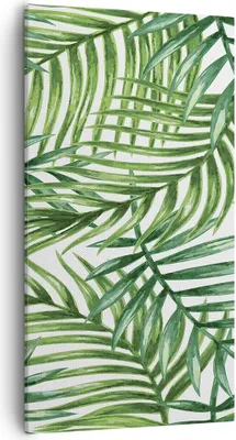 Produktbild von Bild auf Leinwand - Leinwandbild - Palme Blatt grün - 55x100cm - Wand Bild - Wanddeko - Wandbilder - Leinwanddruck - Bilder - Kunstdruck - Wanddekoration - Leinwand bilder - Wandkunst - PA55x100-3777