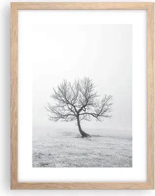 Produktbild von Gerahmtes Poster - Rahmen in heller Eiche - Baum Feld Natur - 30x40 cm - Wand Bild - Wanddeko - Wandbilder - Kunstposter - Wandposter - Bilderrahmen - Bilder - Kunstdruck - Wandbild - P2NPA30x40-3683