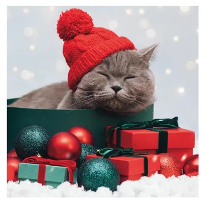Immagine prodotto di Tovaglioli Duni Purrfect Gifts 33x33cm