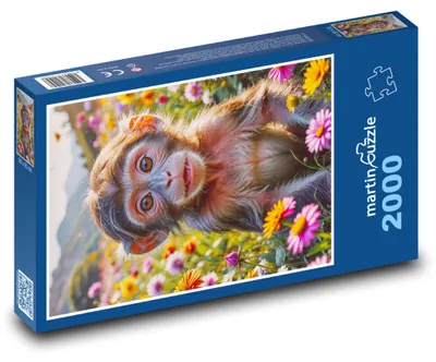Obrázek produktu pro martinpuzzle - Puzzle 2000 - Opice