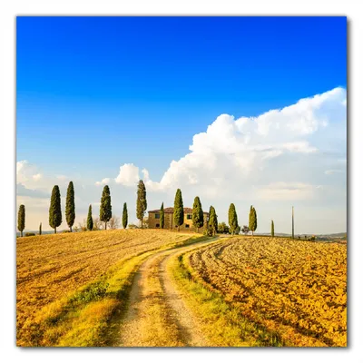 Produktbild von Wallario selbstklebende Möbelfolie/ Tischdecke für Innen und Außen, Größe: 70 x 70 cm - Italien - Toskana unter blauem Himmel  einsame Farm