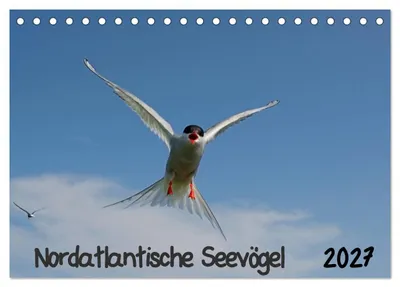 Produktbild von Nordatlantische Seevögel (Tischkalender 2027 DIN A5 quer), CALVENDO Monatskalender