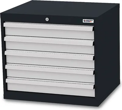 Image de WS24 Armoire à tiroirs : 5 x 100 L x P x H 700 x 575 x 620 mm - WS24-100259