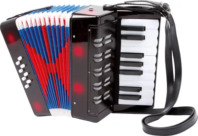 Image de Accordéon Classic