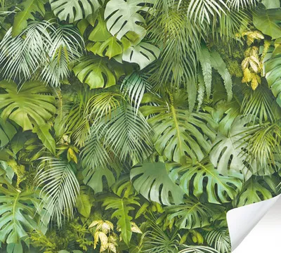 Produktbild von Tapete selbstklebend 38583-1 Palmenblätter grün 8,40 x 0,53 m