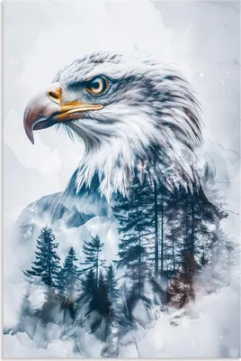 Produktbild von ARTland Wandbild Alu für Innen & Outdoor Weißkopfadler Größe: 80x120 cm