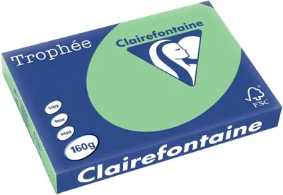 Produktbild von Clairefontaine Trophee Papier 1119C naturgrün 160g/m² DIN A3 - 250 Blatt