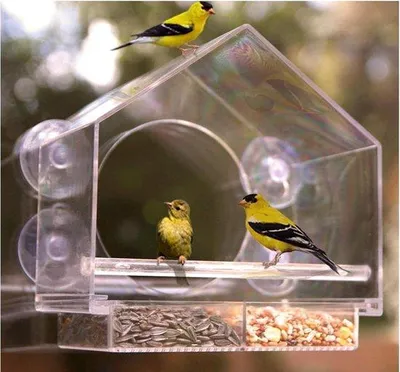 Produktbild von Wildvogel-Futterhaus - Futterhäuschen mit Saugnapfen - Acryl-Vogelfutterbox