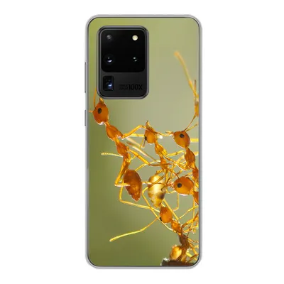 Produktbild von MuchoWow® Handyhülle Schutzhülle Hülle für Samsung Galaxy S20 Ultra Ameisen - Orange - Tiere Silikon Softcase Handy Hülle - Karteninhaber