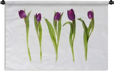 Produktbild von MuchoWow® Wandteppich Wandbehang Fünf Tulpen in einer Reihe 120x80 cm Tapisserie Dekoration Wandtuch - Wanddekorationen - Wandtücher