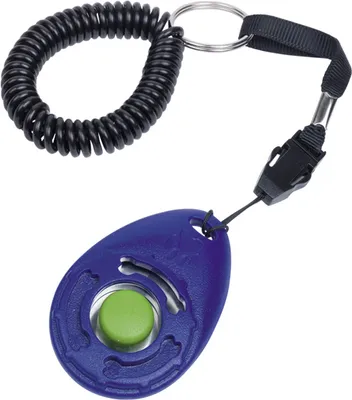 Produktbild von Clickertraining 6x4cm blau 12St
