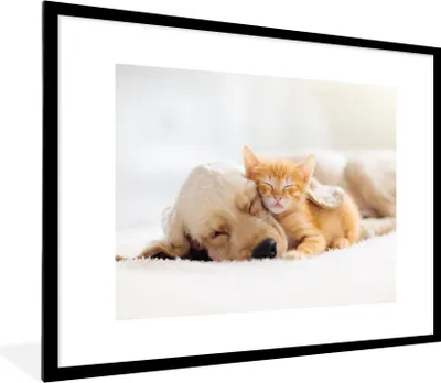 Produktbild von MuchoWow® Gerahmtes Poster Tiere - Hund - Kätzchen - Rot 80x60 cm - Poster mit Schwarzem Bilderrahmen Wandposter Rahmen Foto Bilder - Schlafzimmer-Dekorationen - Fotoposter