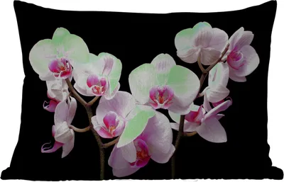Produktbild von MuchoWow® Outdoor Kissen - Orchidee - Blumen - Rosa - Flora - 60x40 cm - Wetterfest - Lounge Kissen - Zierkissen - Kissen für Innenräume