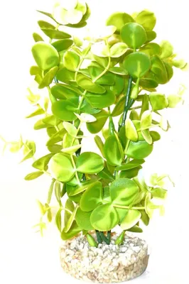 Produktbild von Aqua Eucalyptus Plant grün 22 cm künstliche Aquarienpflanze & Sockel