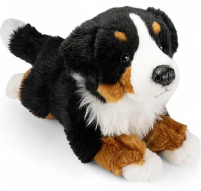 Immagine prodotto di Carl Dick Cane da montagna bernese sdraiato, cane, circa 30 cm 1269001 Peluche, peluche, peluche