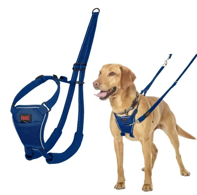 Produktbild von Hundegeschirr, Anti-Zug-Geschirr – Größe M – Kobaltblau – Für Spaziergänge