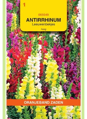 Productafbeelding van Oranjekleurige Antirrhinum Majus (Lippenstok) - Hoogbloeiende mengeling - 1 zakje zaad