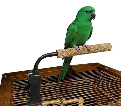 Productafbeelding van 2 stuks vogelstok van peperhout, verstelbare zitstokken met clipbasis