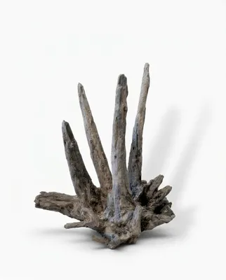 Produktbild von Nano Pinwood Wurzel für Aquarium, NaturKultDeko by Sophie, Einzelstück L