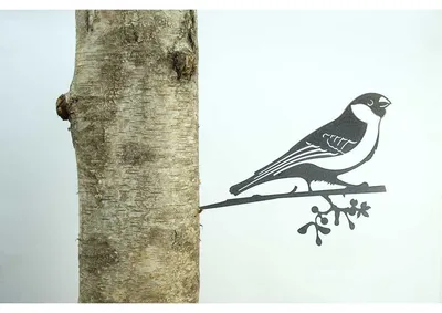 Geluksvogel Goldvink/ Bullfinch 1301, 330 mm breed - 2 mm dik