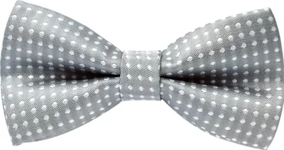 Produktbild von axy®Kinderfliege, Jungen Fliege-Grau mit weißen Punkte- bereits gebunden, Konfirmation verstellbar-Hochzeit-Festliche Mode