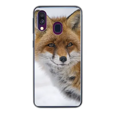 Produktbild von MuchoWow® Handyhülle Schutzhülle Hülle für Samsung Galaxy A40 Fuchs - Porträt - Schnee Silikon Softcase Handy Hülle - Handy-Tasche
