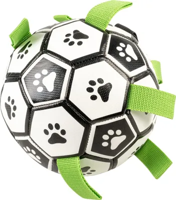 Produktbild von Duvo+ Hundespielzeug Interaktiver Fußball, Durchmesser: 18 cm