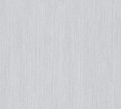 Obrázek produktu pro A.S. Création netkaná tapeta Meistervlies Pro Protect 2, bílá, malovatelná, 10,05 m x 0,53 m, 248510, 2485-10