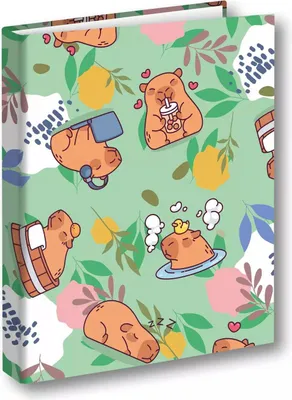 Image de Classeur A4/2 Capybara prairie PENMATE