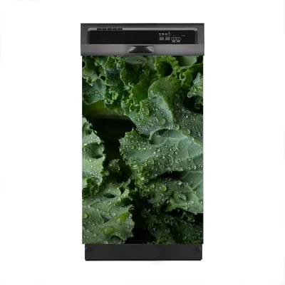 Produktbild von Aufkleber sticker 45x70 cm Dekorative folie Spülmaschine - Salat Blätter