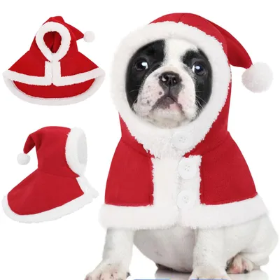 Productafbeelding van Hond Kerstkostuum Cape voor Feestjes