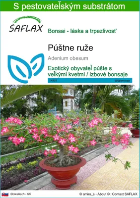 Obrázok produktu pre SAFLAX - púštne ruže - Adenium obesum - 8 Semená - S pestovateľským substrátom bez klíčkov