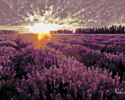 Obrázok produktu pre Zuty - Diamantové maľovanie - LEVANDUĽOVÉ POLE PRI ZÁPADE SLNKA, 40x50 cm, vypnuté plátno na rám